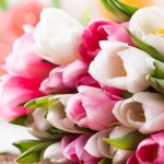 Поздравляем с 8 марта