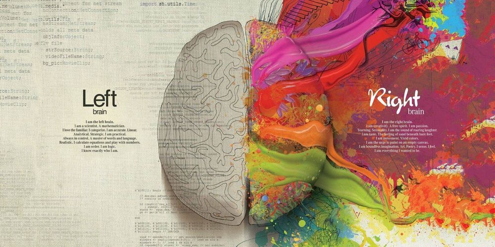 brain